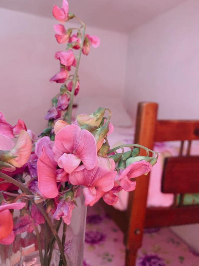 Villa La Isolina บียายาร์ดีโน ภายนอก รูปภาพ