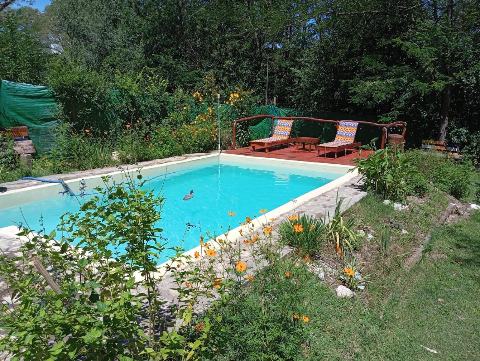 Villa La Isolina บียายาร์ดีโน ภายนอก รูปภาพ